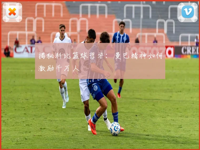 揭秘科比篮球哲学：曼巴精神如何激励千万人